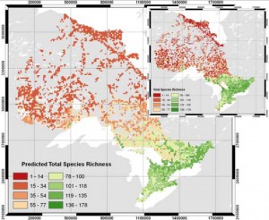 BIODIVERSITY MONITORING FROM SPACE